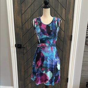 Title Nine Vibrant Blue and Purple Mini Dress